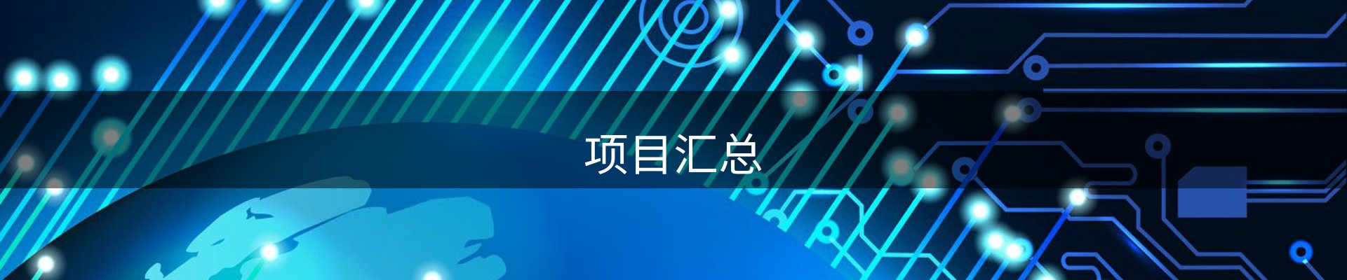 项目汇总